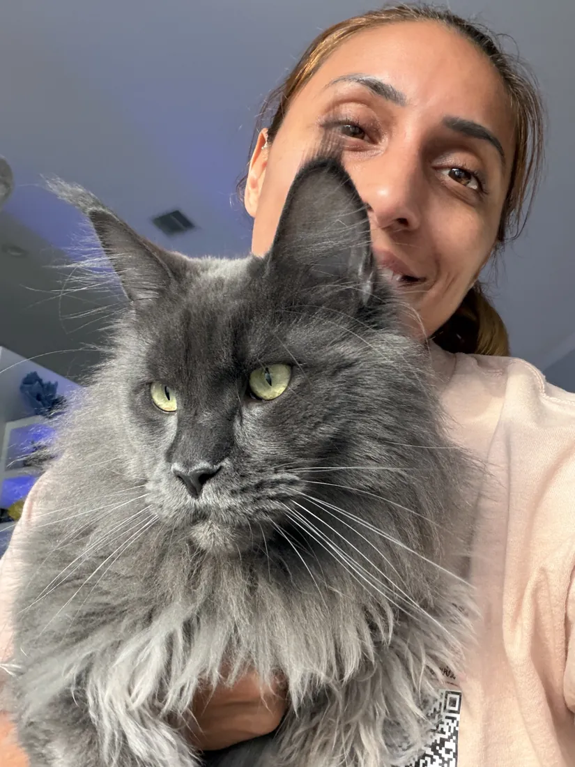 A pet in Joselyn's care