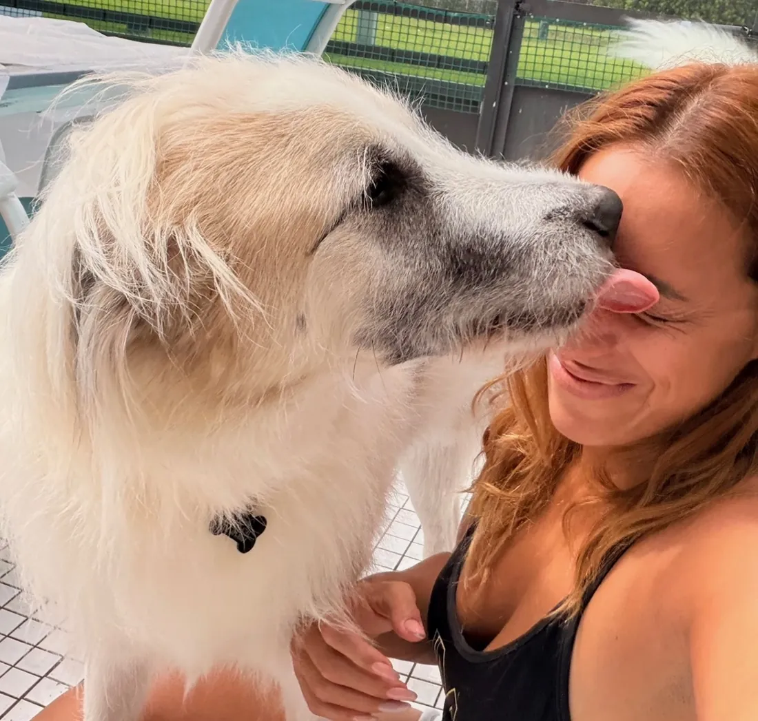 A pet in Joselyn's care