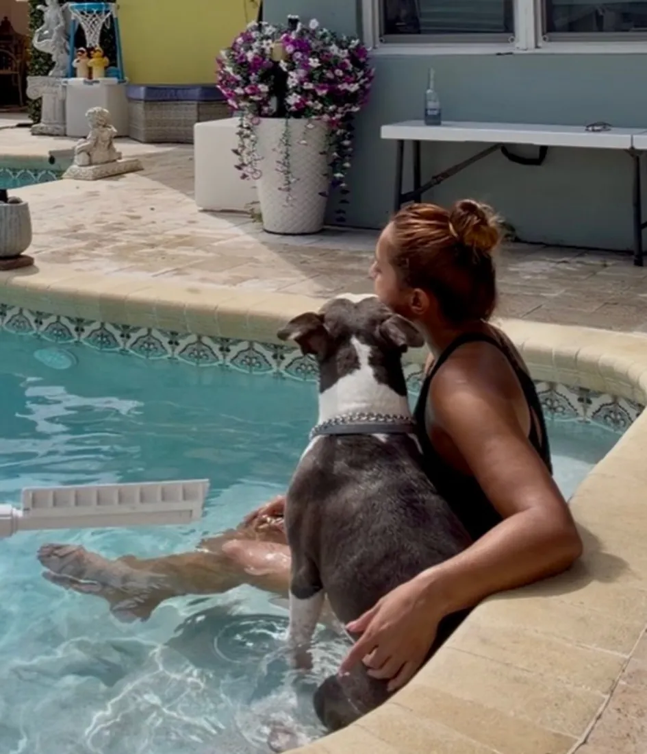 A pet in Joselyn's care